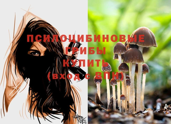эйфоретик Осташков