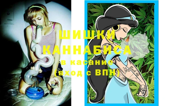spice Барнаул
